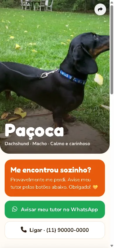 Página de exemplo no celular